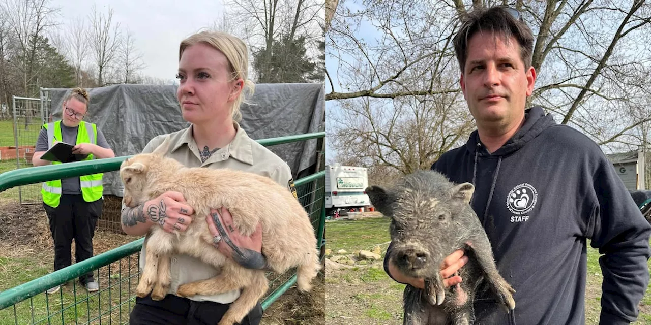 88 ‘suffering’ animals seized from Lorain County farm amongst ‘many dead’