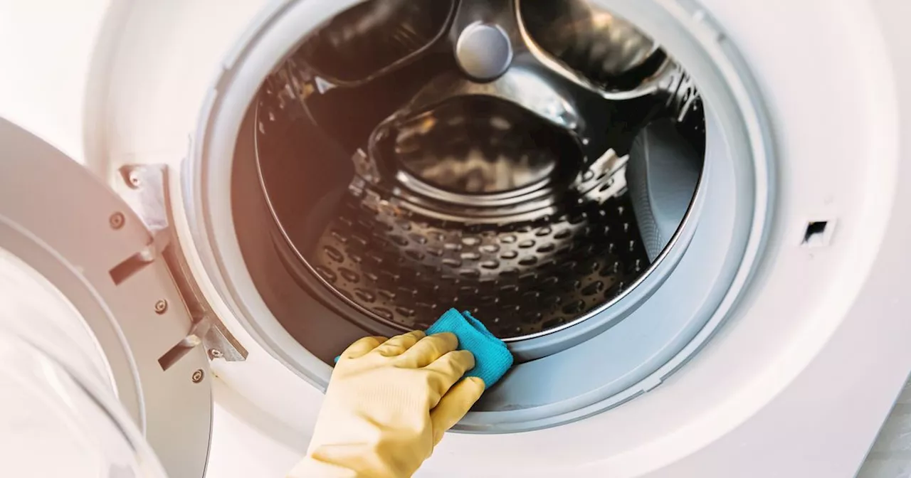 Five red flag warning signs that your washing machine is overdue a deep clean