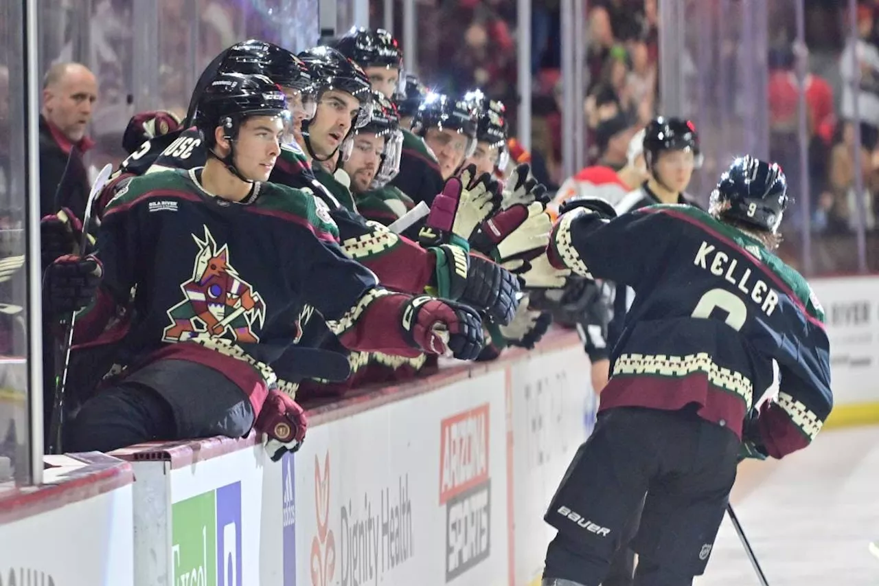 The timeline moving forward for the Arizona Coyotes