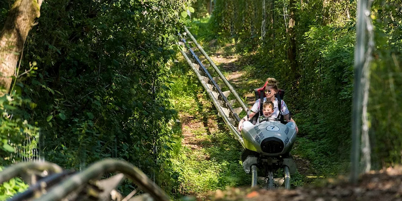 Von Ostsee bis Alpen: Sommerrodelbahnen: Diese 7 Anlagen stechen heraus