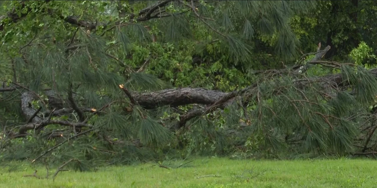 Strong Storms cause damage in Escambia County