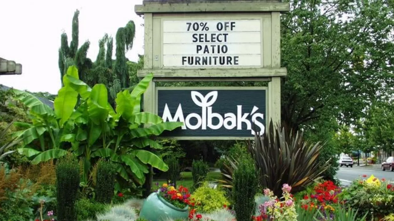 Molbak’s Unveils Green Phoenix Collaborative: A New Chapter for the Iconic Brand