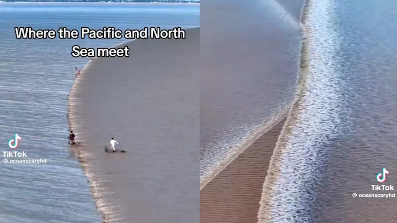 Stunningly Dumb Viral Video Doesn't Show Where the Pacific Ocean and North Sea 'Meet'