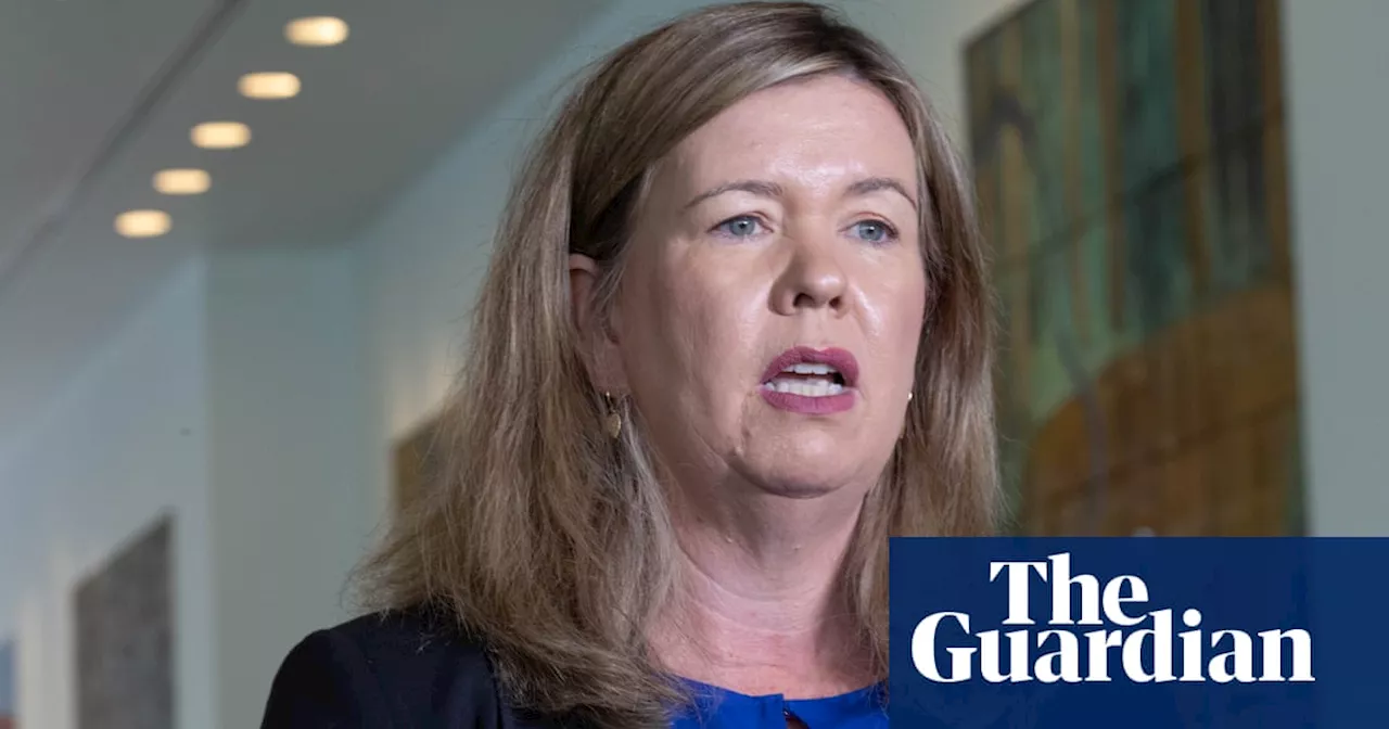 Bridget Archer leads criticism after Peter Dutton compares pro-Palestine protest to Port Arthur massacre