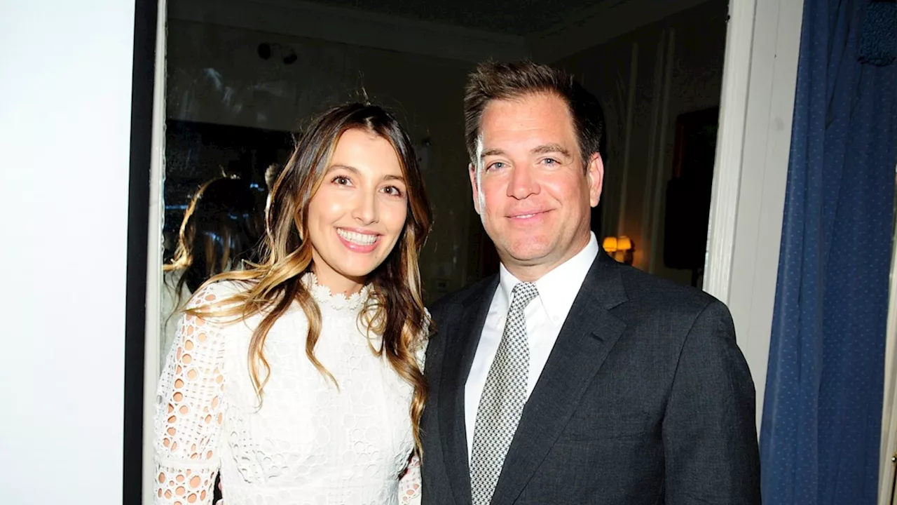 Who is NCIS' Michael Weatherly's award-winning wife? All you need to know