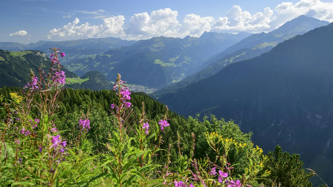 – nach dem Schnee rollt Hitzewelle an