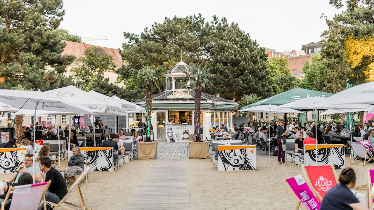 Wiener Sommer unter Palmen am Campus des alten AKH