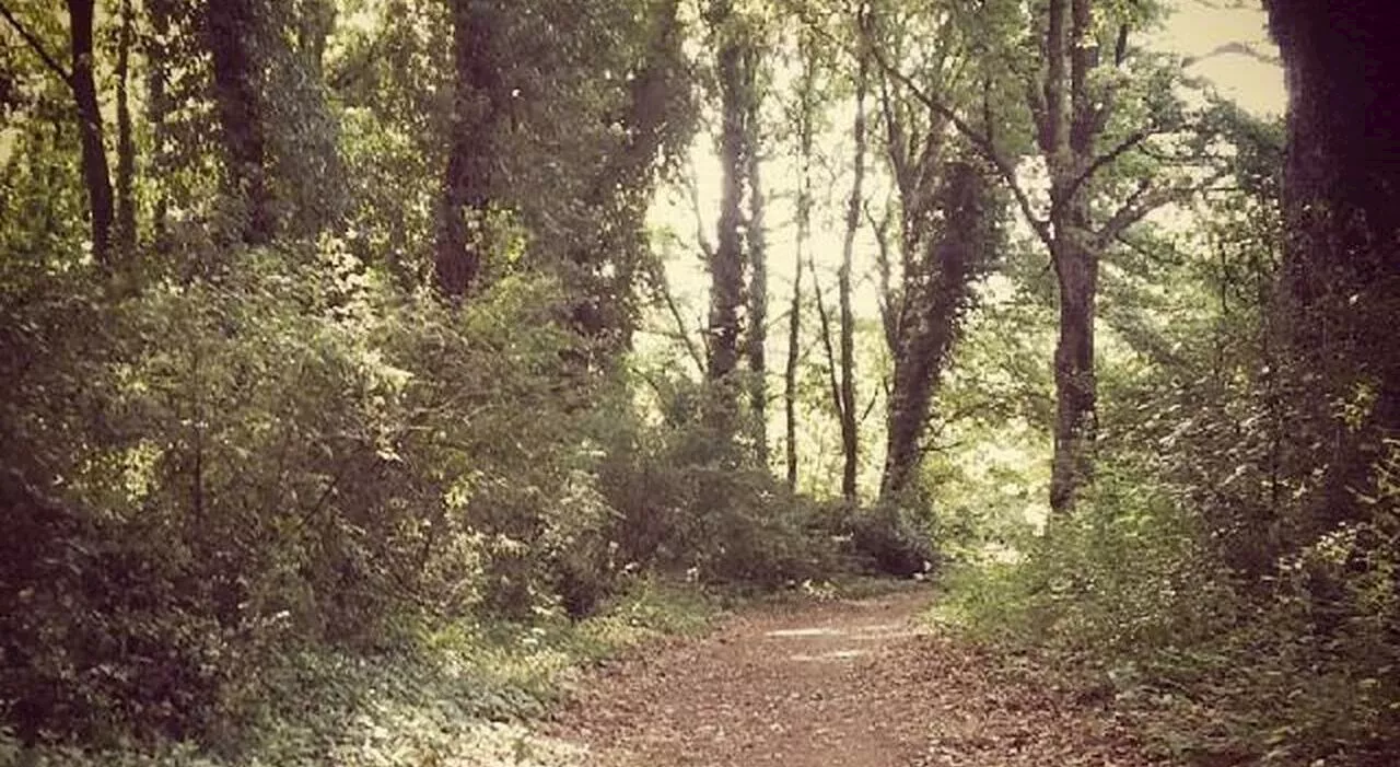 Monumento naturale del Filetto, primo sì in Regione per il riconoscimento