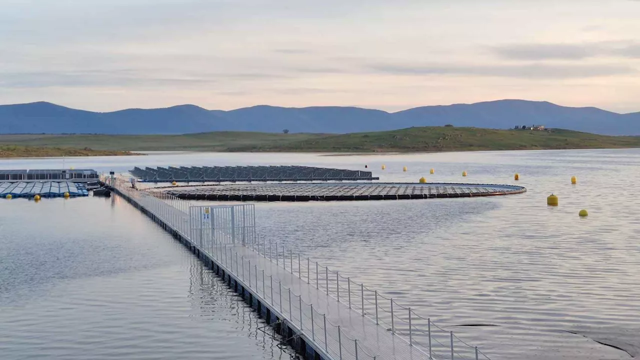 Acciona Energía instala un nuevo sistema de flotación fotovoltaico en el embalse de Sierra Brava