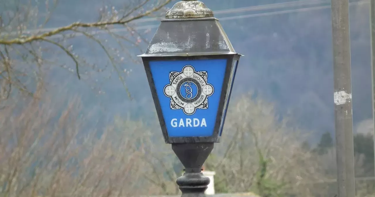 Gardaí Seize Drugs Worth €200,000 in Co Monaghan