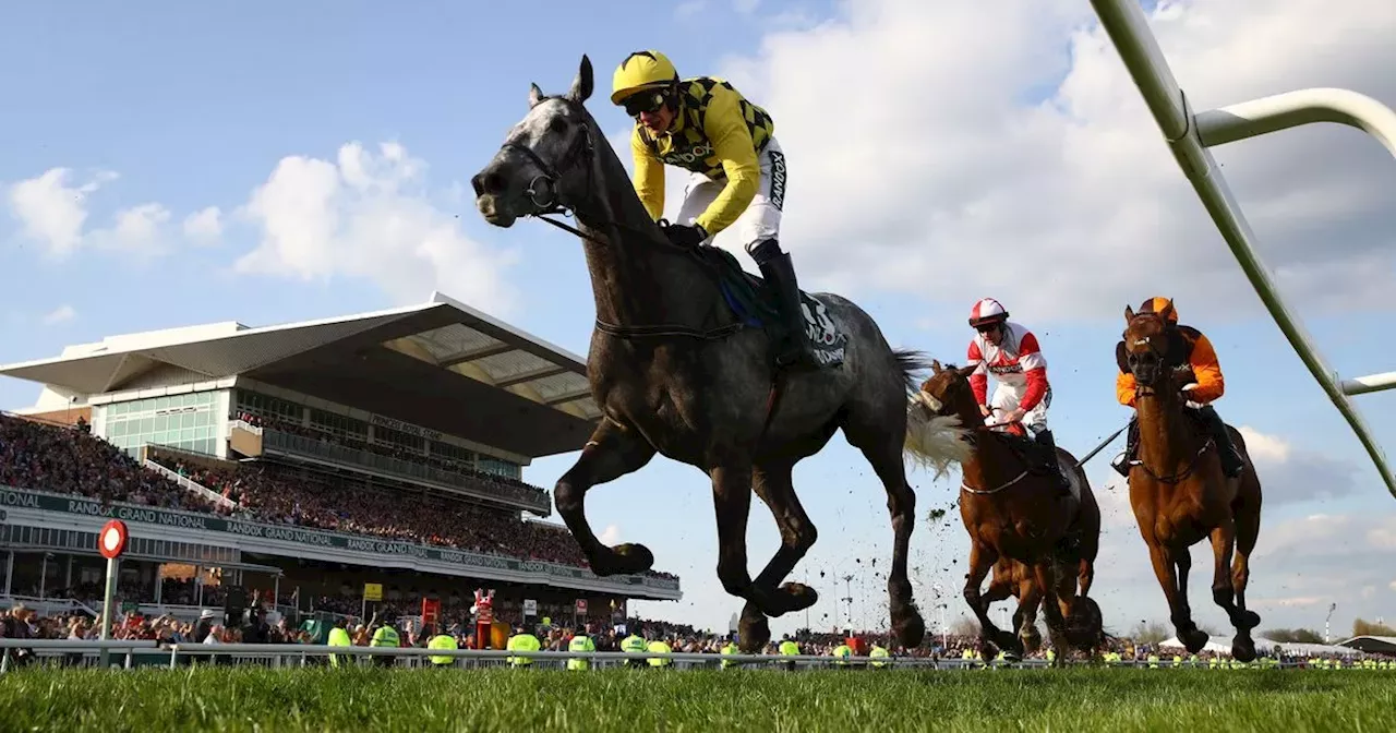 Get ready for the 176th Grand National with our sweepstake kit