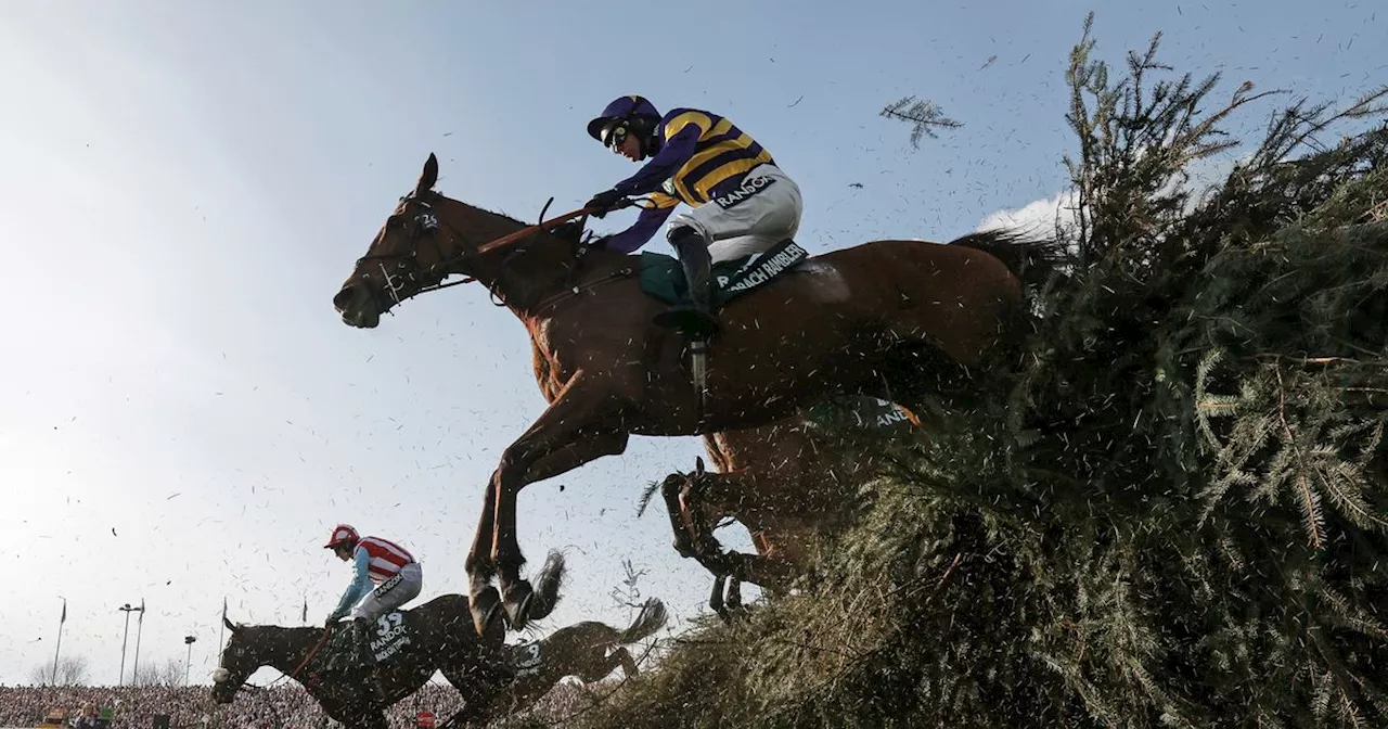 Il Etait Temps wins Manifesto Novices' Chase at Grand National Festival