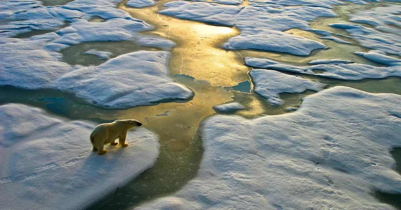 Why introduce a new Leaving Cert subject on climate action? Geographers have been teaching these issues for years