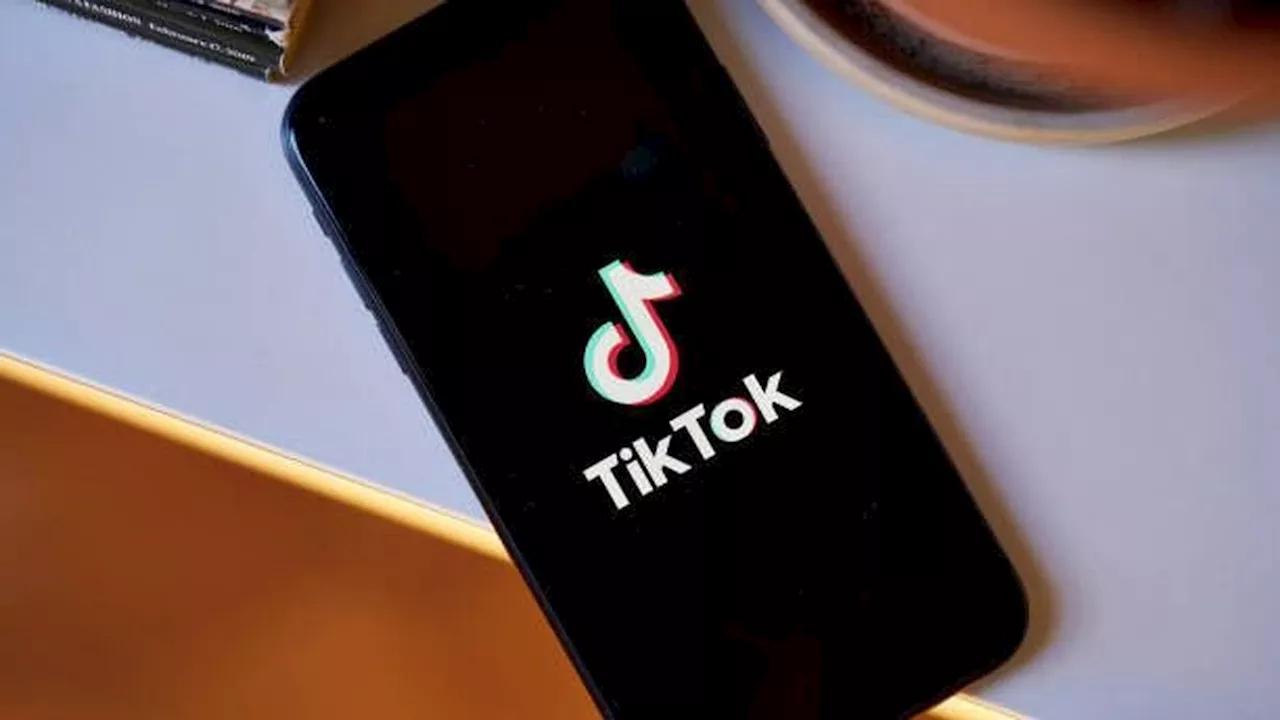 TikTok lança versão de aplicativo que pagará usuários para assistir vídeos; entenda