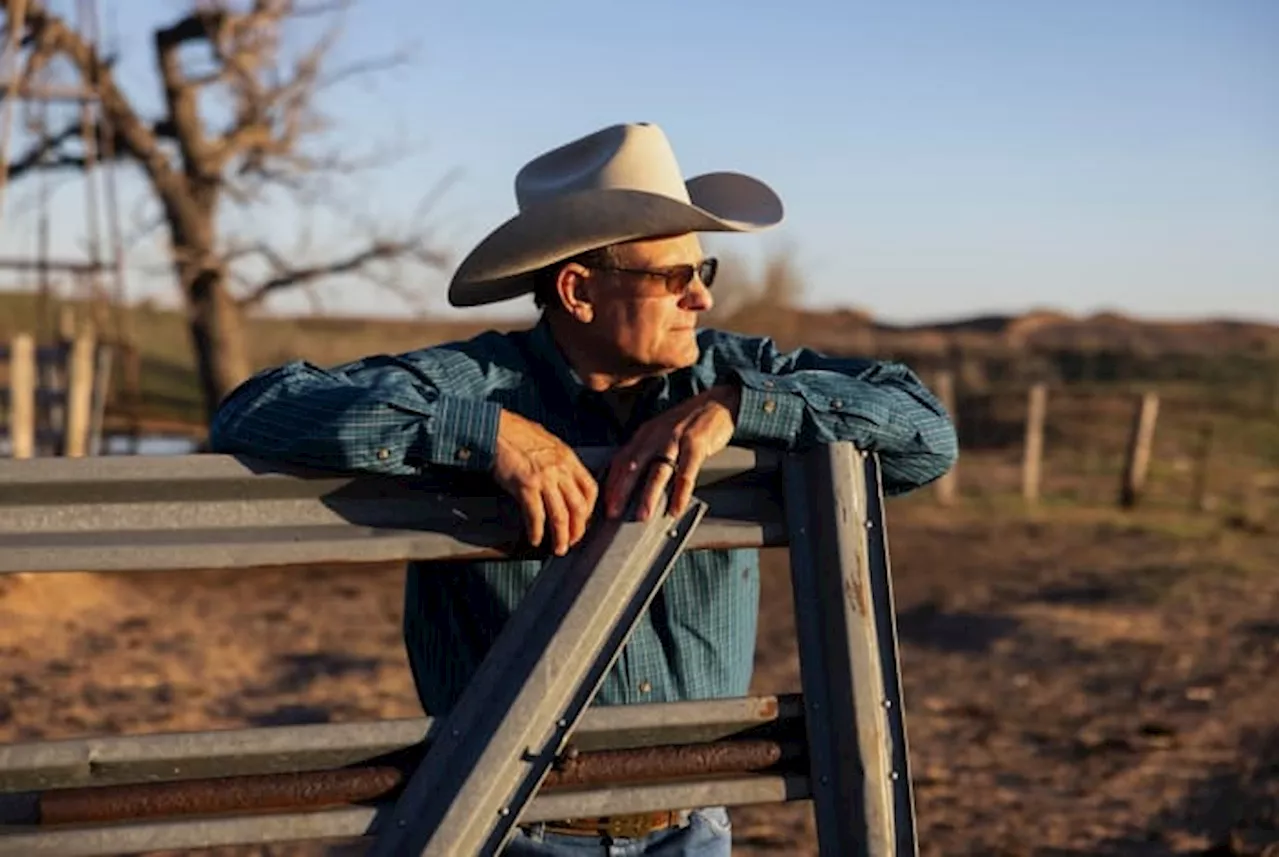 After Texas’ largest wildfire is contained, a rancher moves on with a single calf