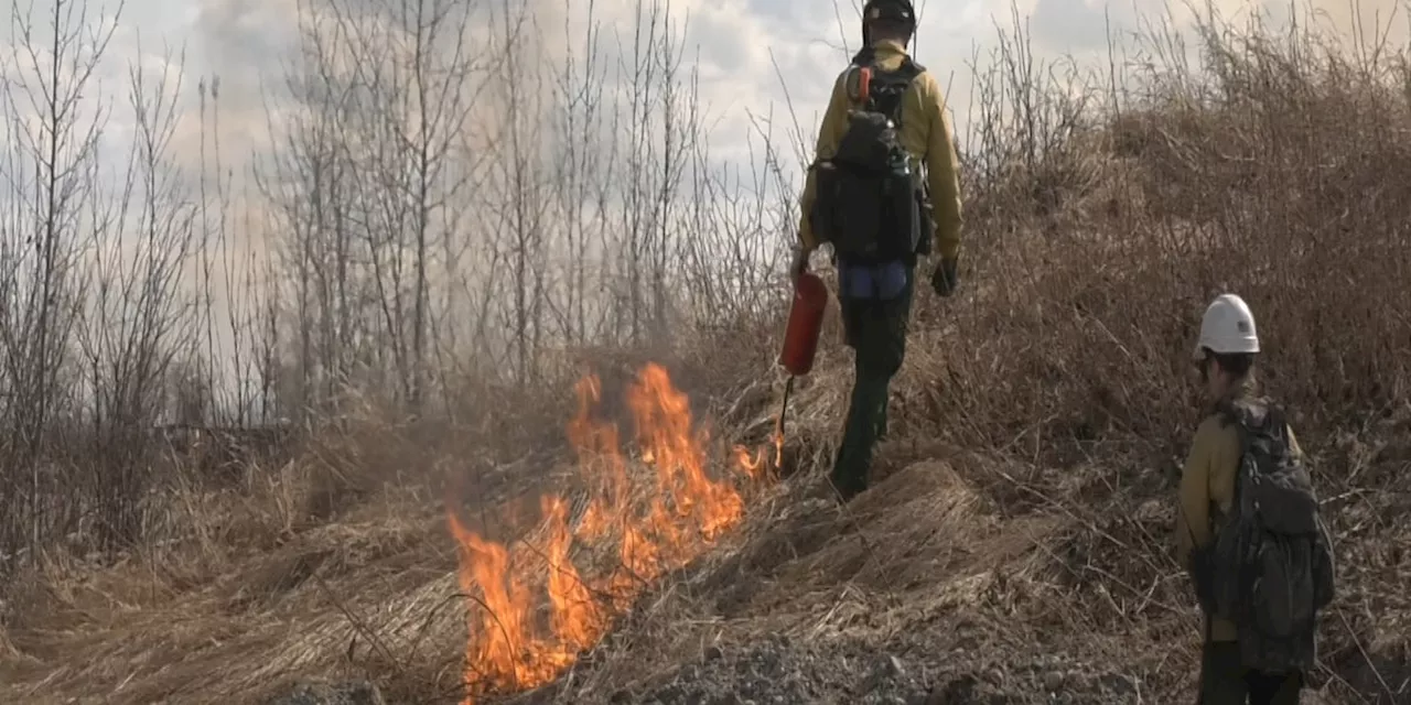 Military Report: BLM partners with Army to prepare for fire season