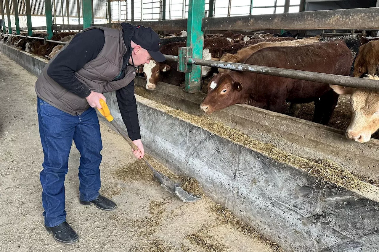 Au Québec, le désarroi des agriculteurs