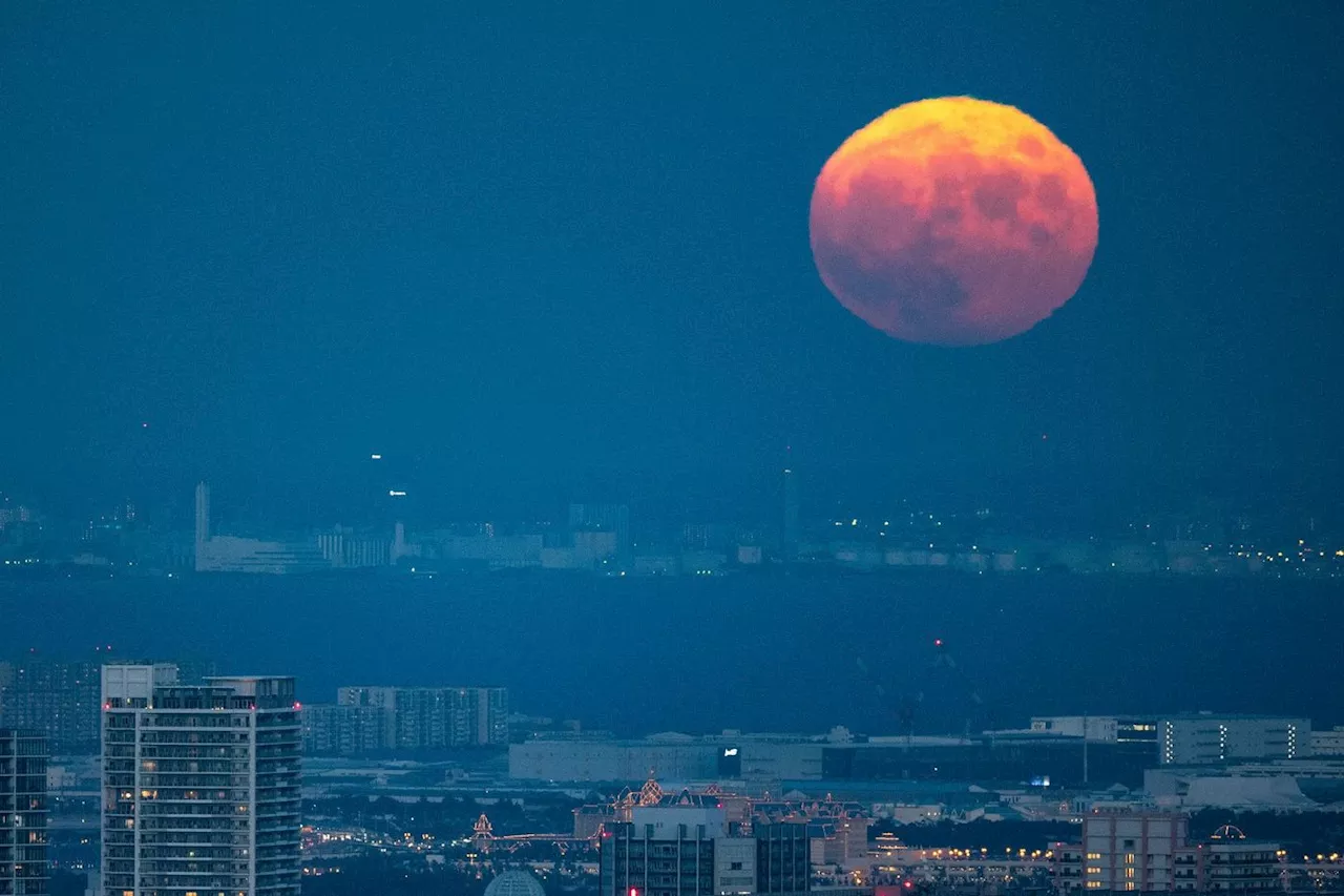 Un astronaute japonais sera le premier non-Américain à atterrir sur la Lune