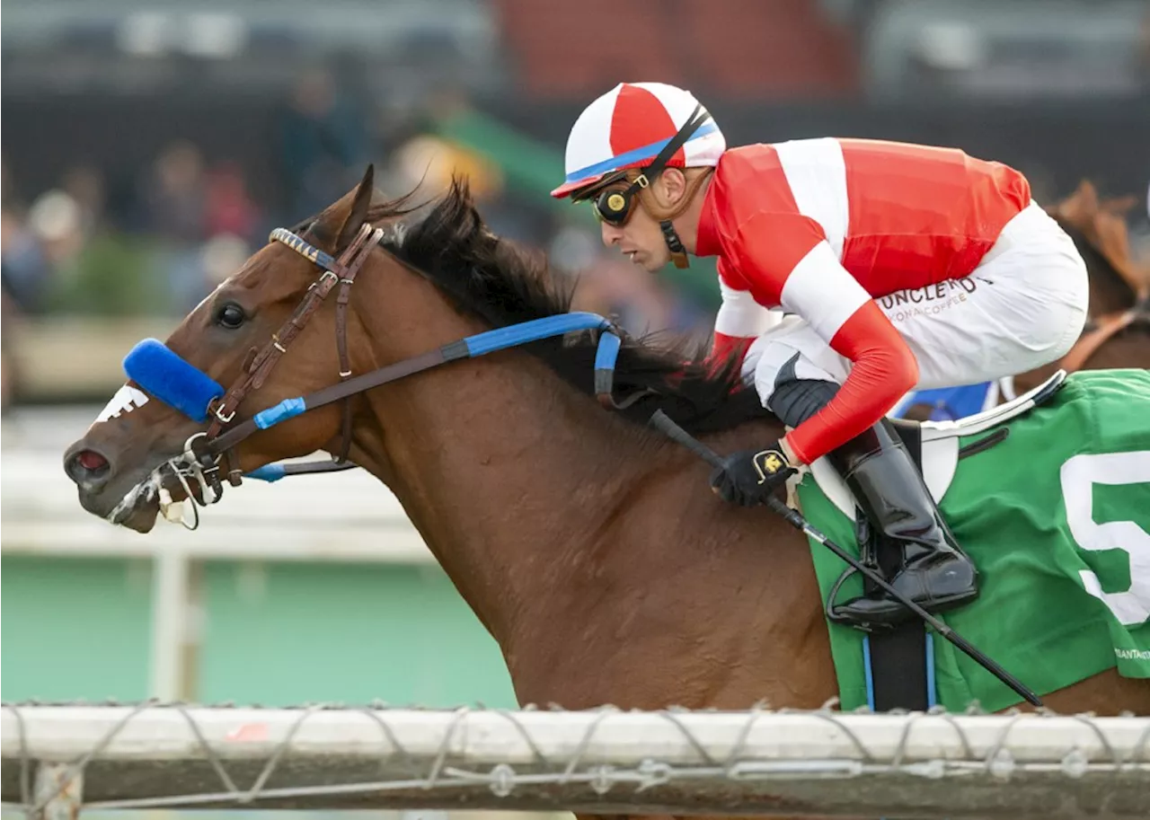 Horse racing notes: Juan Hernandez, Doug O’Neill take Santa Anita titles