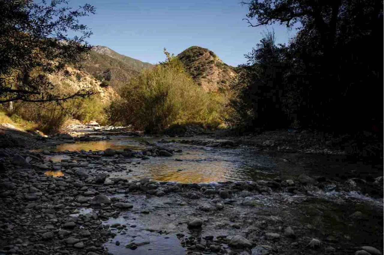 Leaders, groups ‘elated’ over possible Biden expansion of San Gabriel Mountains National Monument