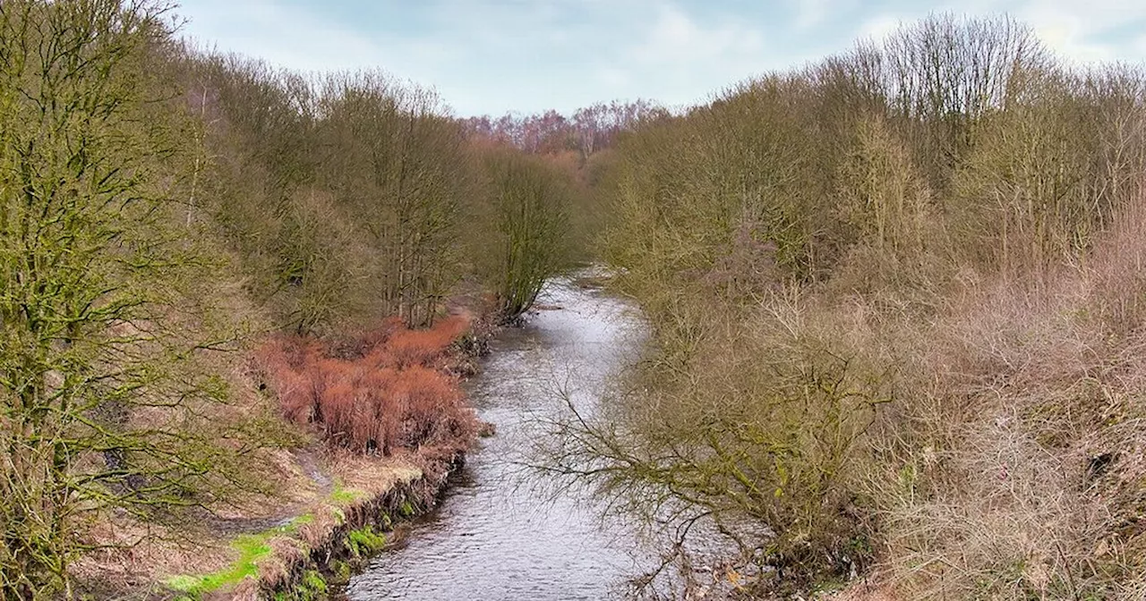 Boy dies after falling into river while riding inflatable canoe with pals