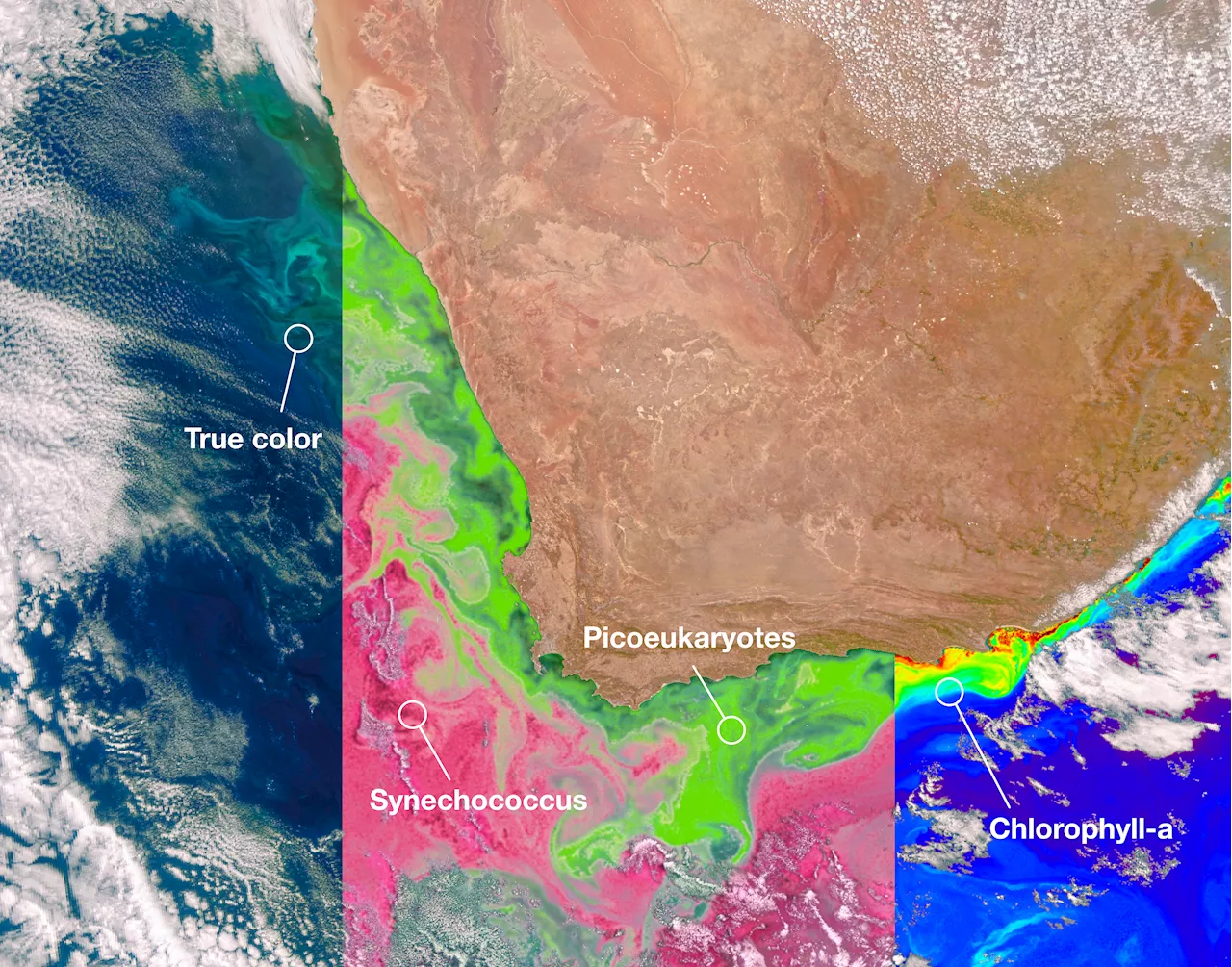 NASA’s PACE Data on Ocean, Atmosphere, Climate Now Available