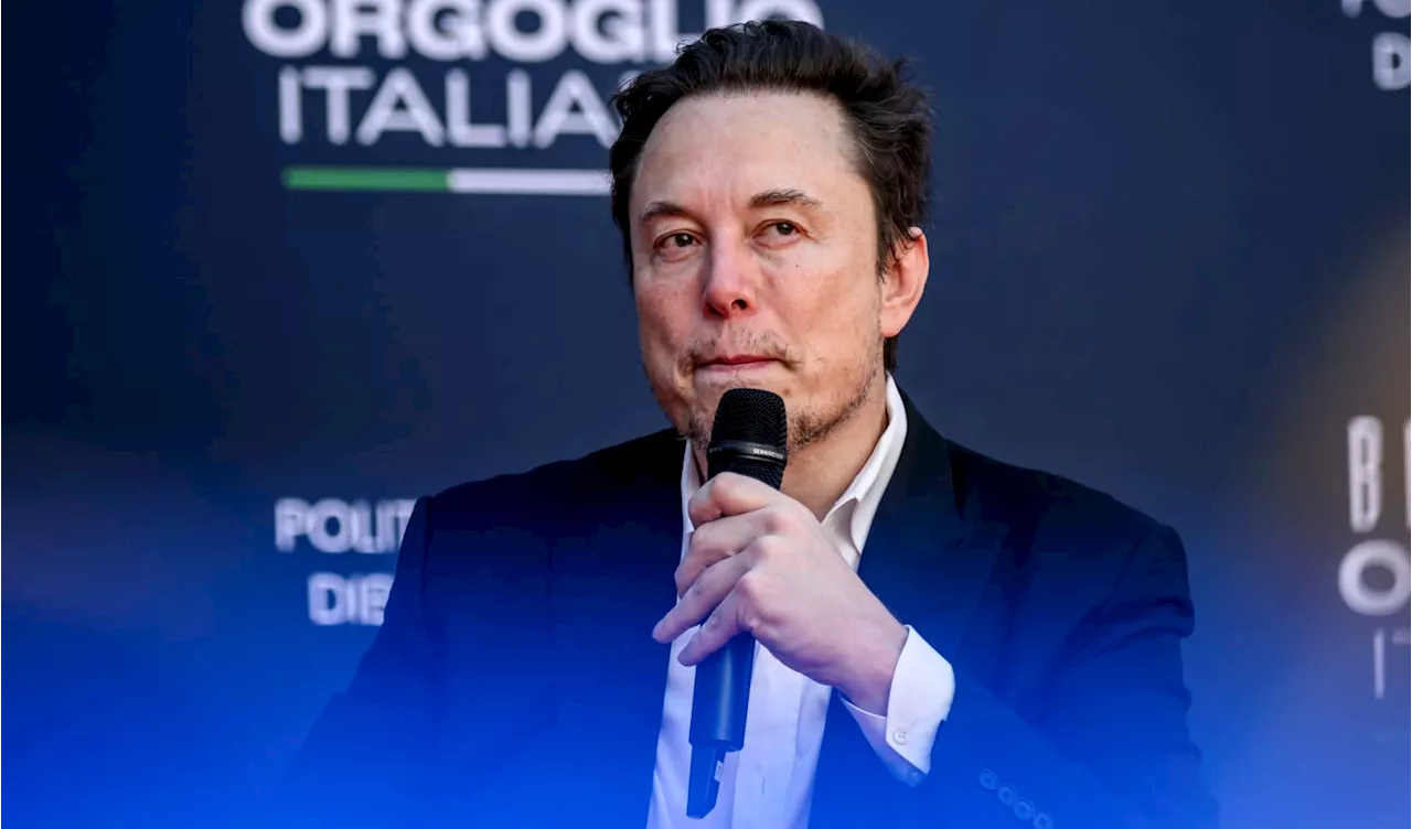 Investors Turn on Elon Musk as Tesla Stock Declines, says CNBC's Jim ...