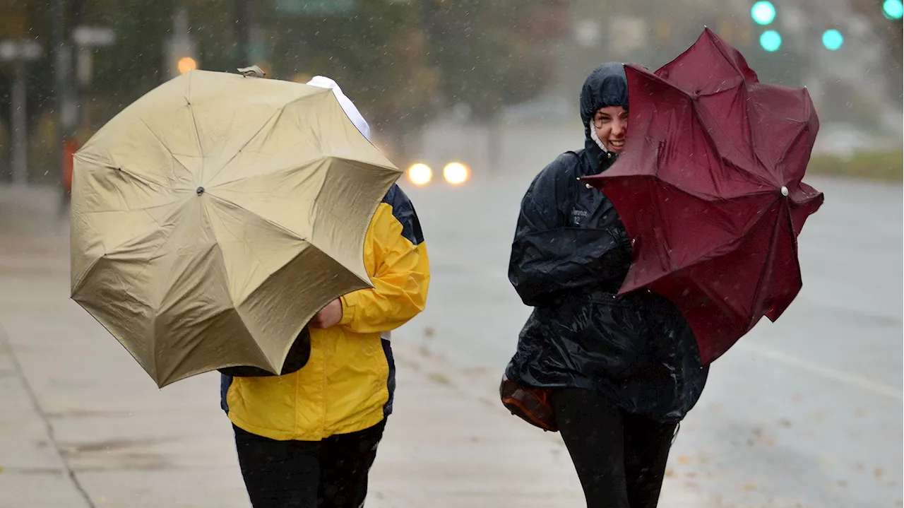 Storm to bring heavy rain and strong winds to region