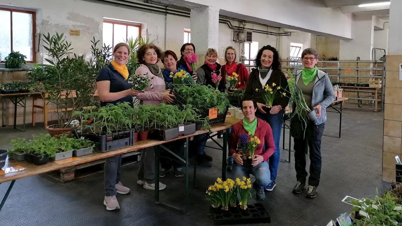 Bäuerinnen laden zum Pflanzenbasar in Fachschule ein