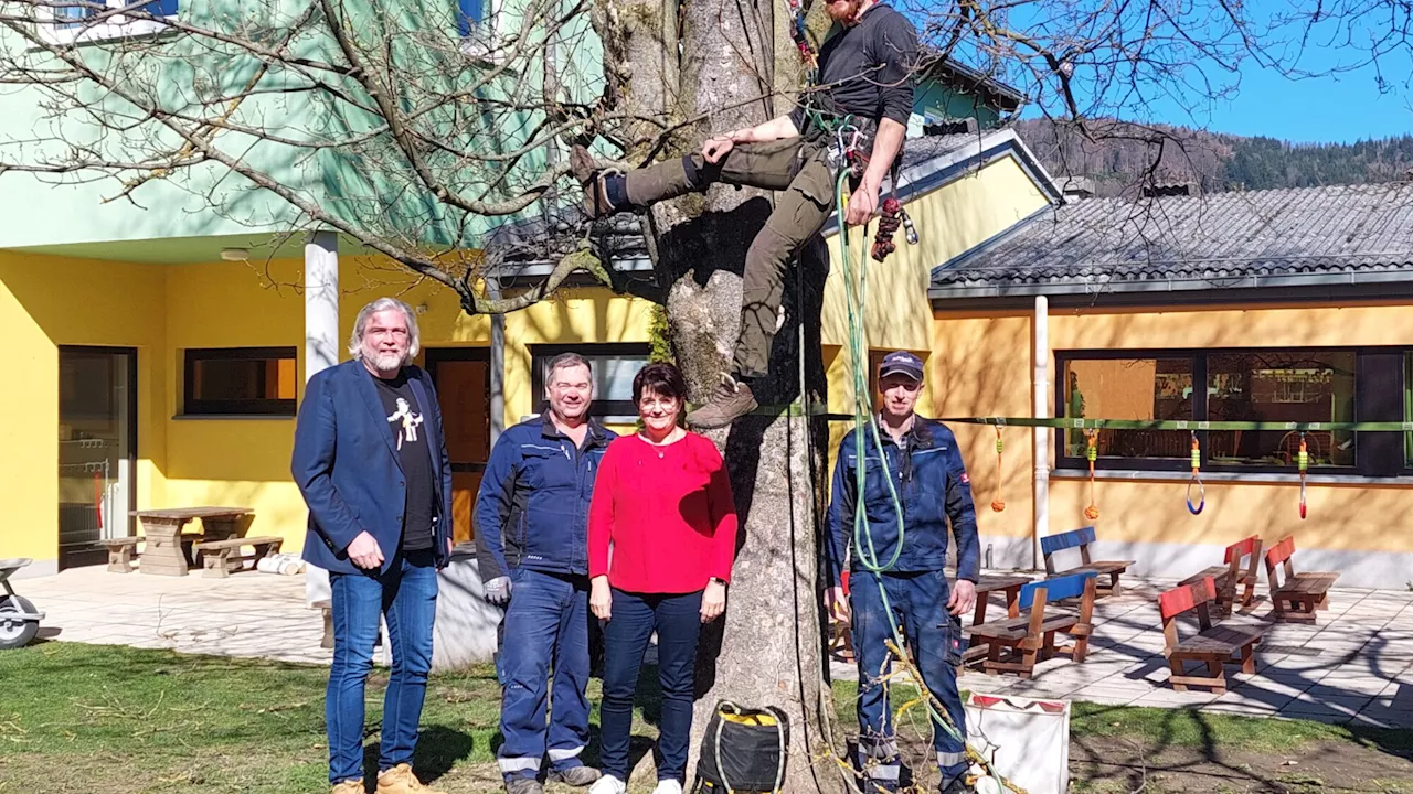 Baumpfleger sorgt für Sicherheit in Michelbach