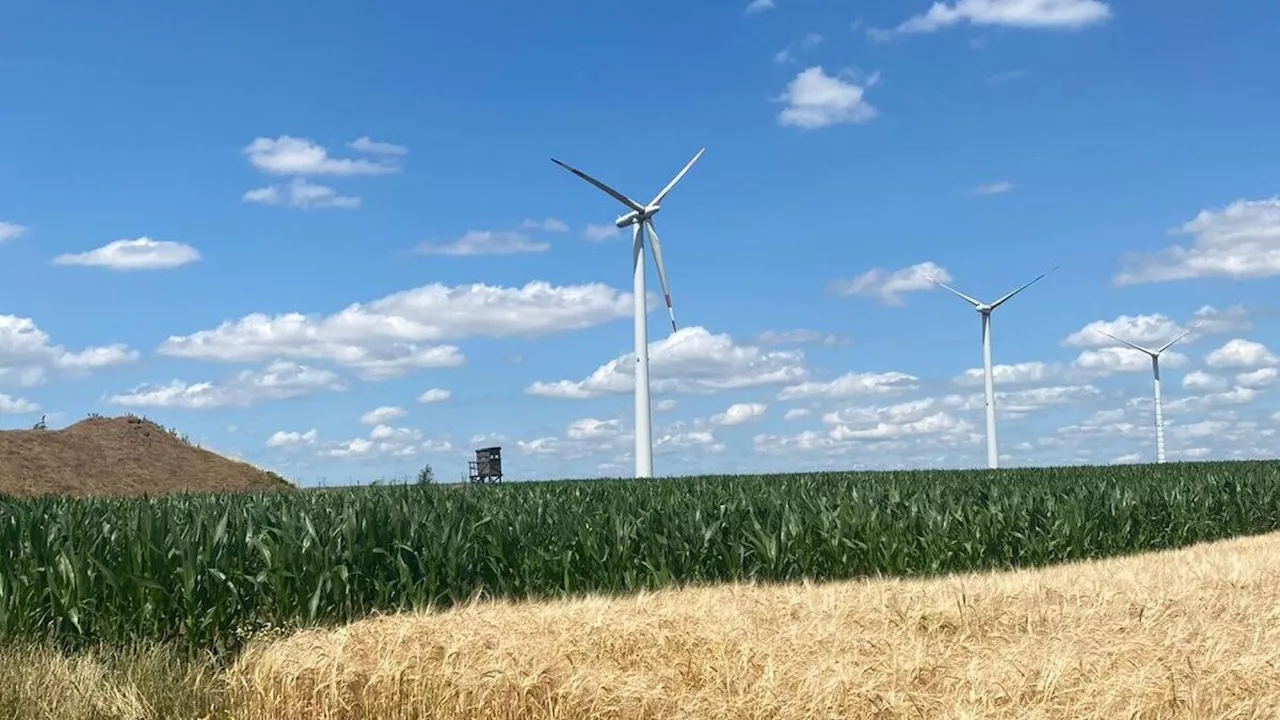 Leitzersdorf: Land bestätigt endgültiges Aus für Windräder