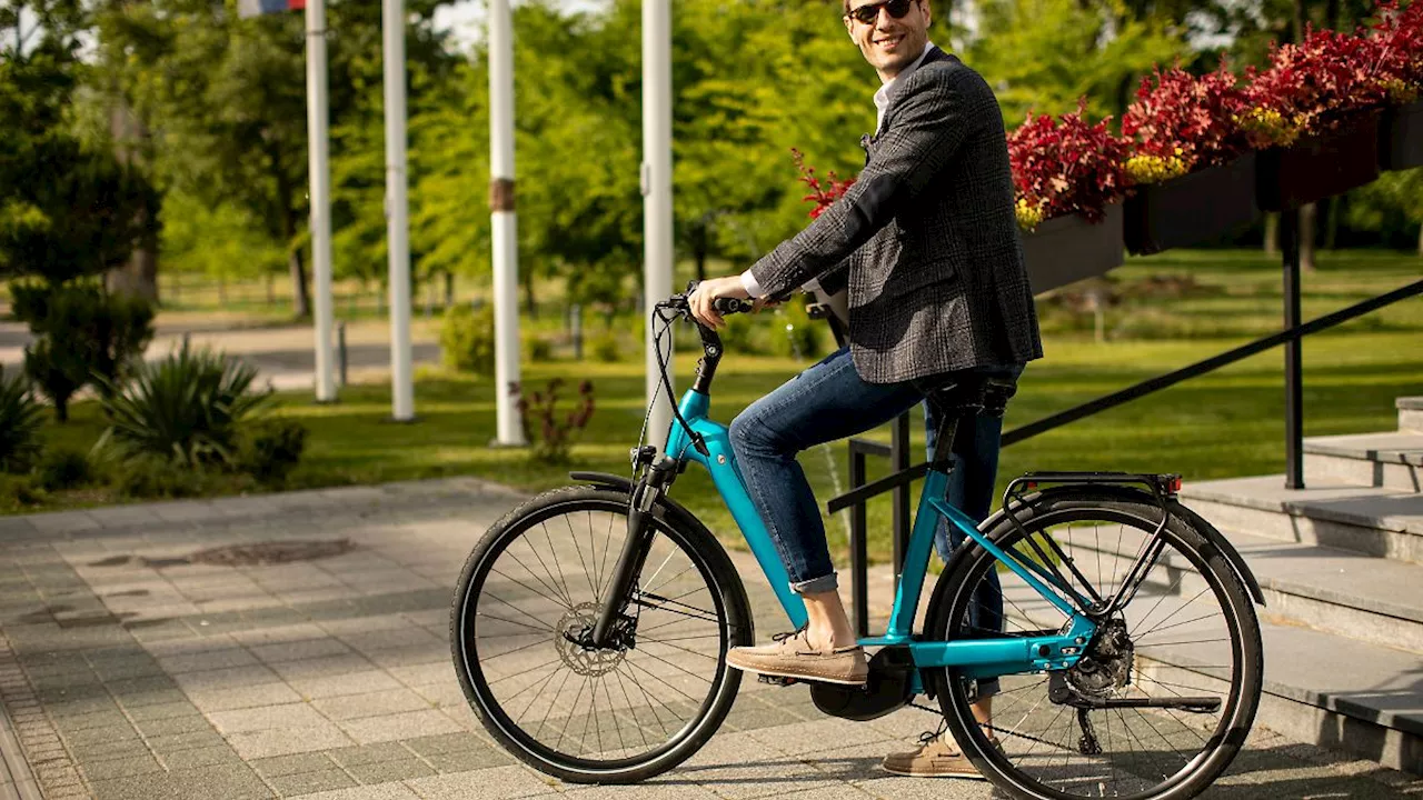 Discounter oder High End?: E-Bike kaufen: Fünf Modelle für jeden Geldbeutel