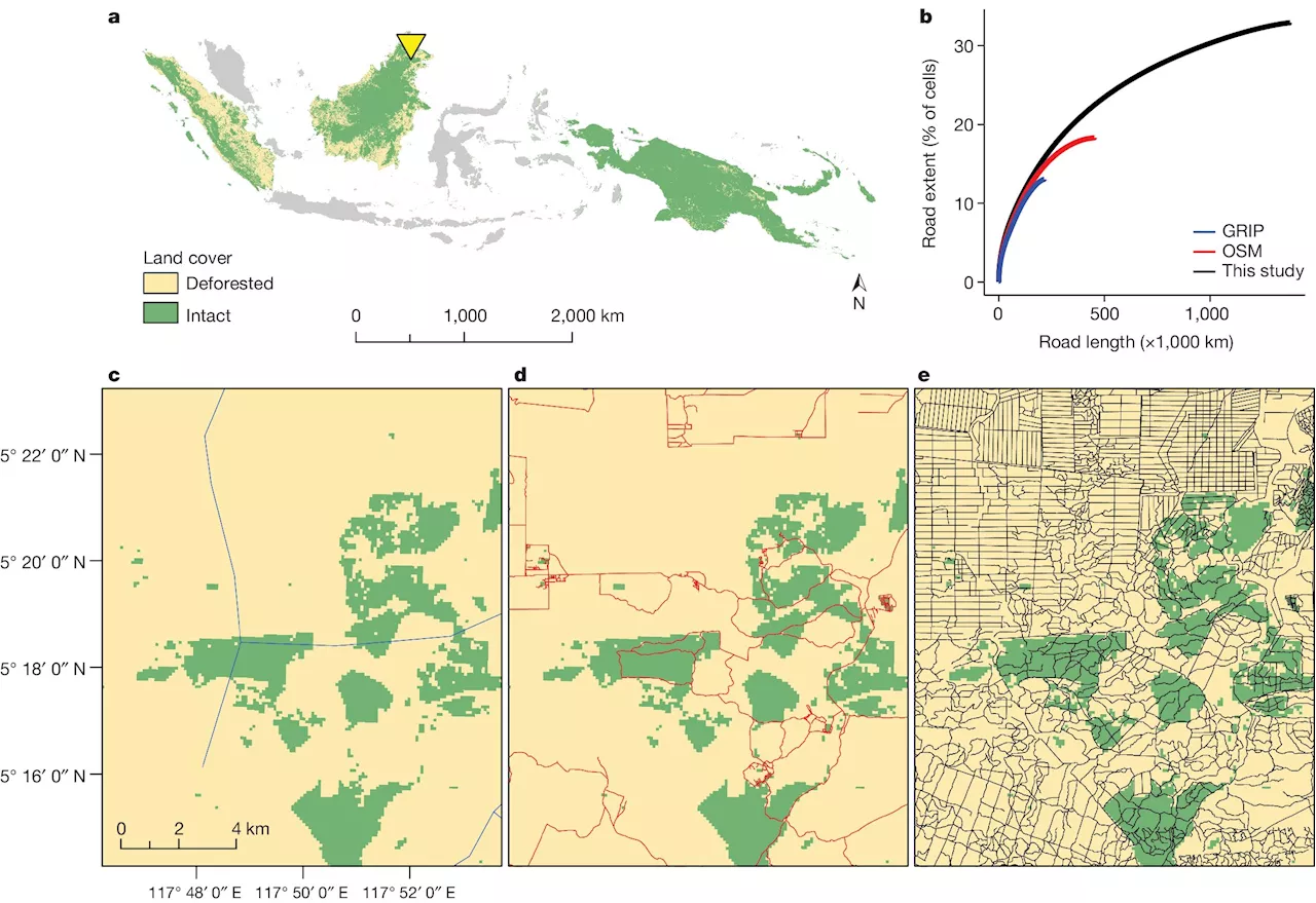 Ghost roads speed destruction of Asia-Pacific tropical forests, finds study