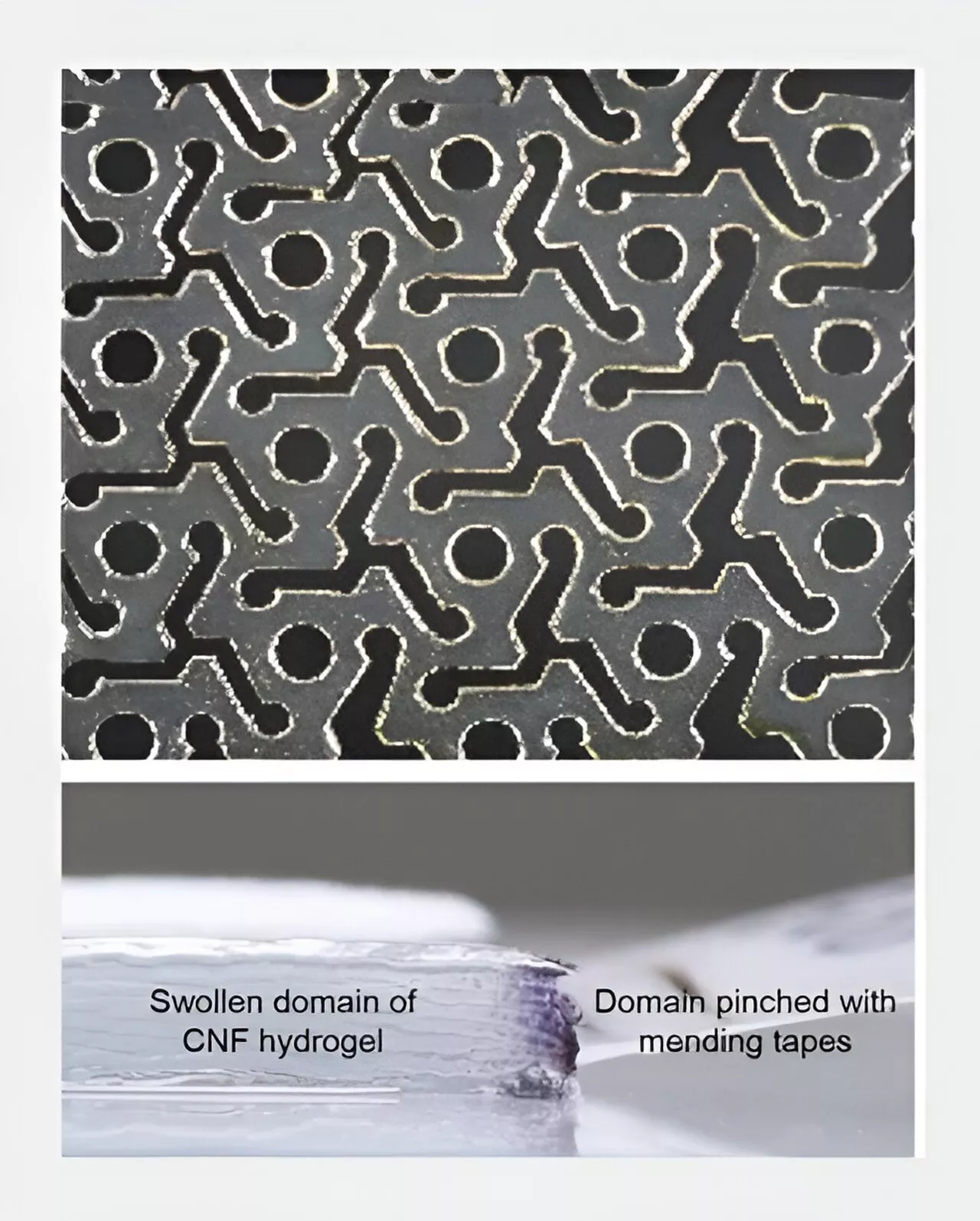 Laser-patterned thin films that swell into kirigami-like structures offer new opportunities in hydrogel technology