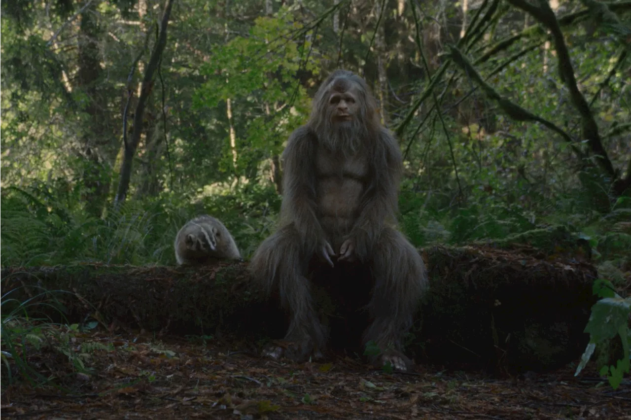 ‘Sasquatch Sunset’: What’s Hairy, Horny and Puts Its Best Bigfoot Forward?