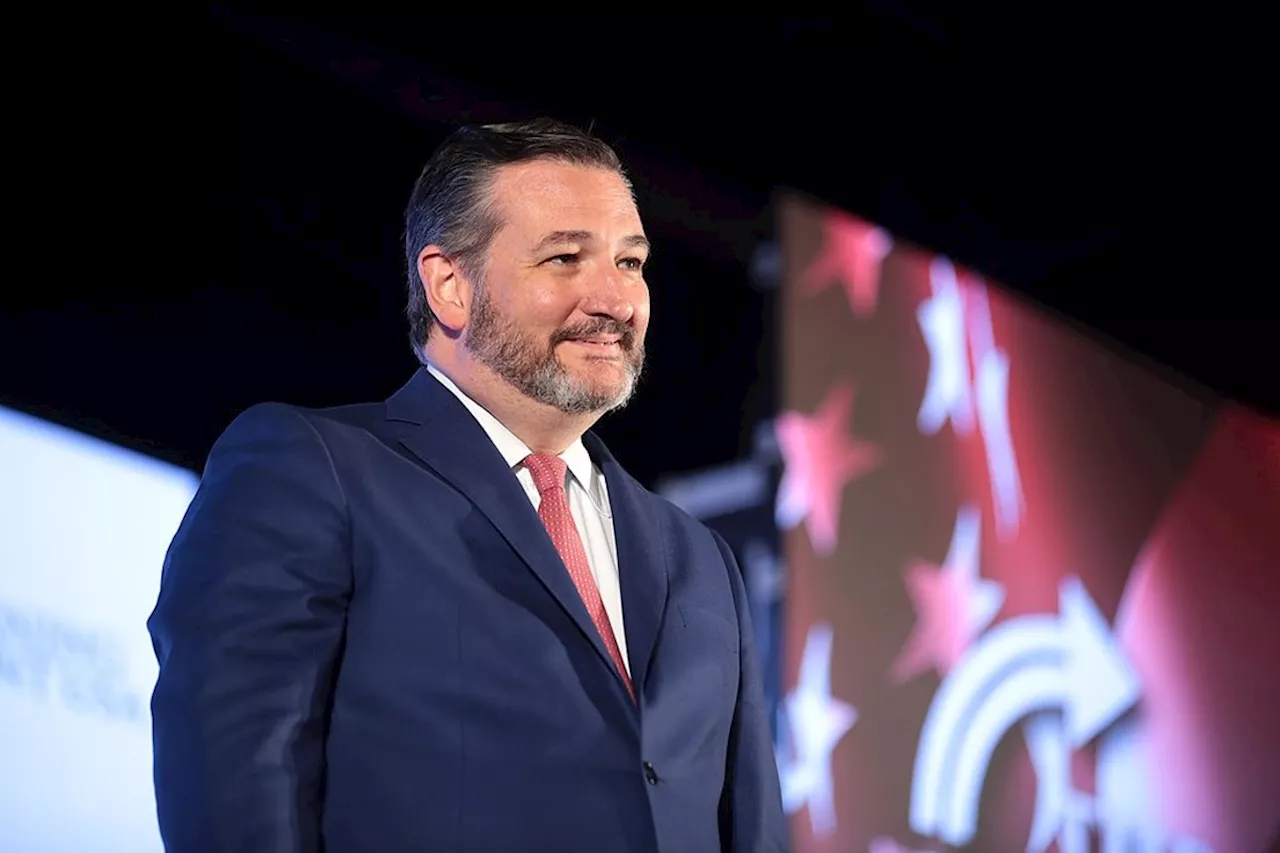 Head of commission hearing complaint against Ted Cruz once worked for the senator