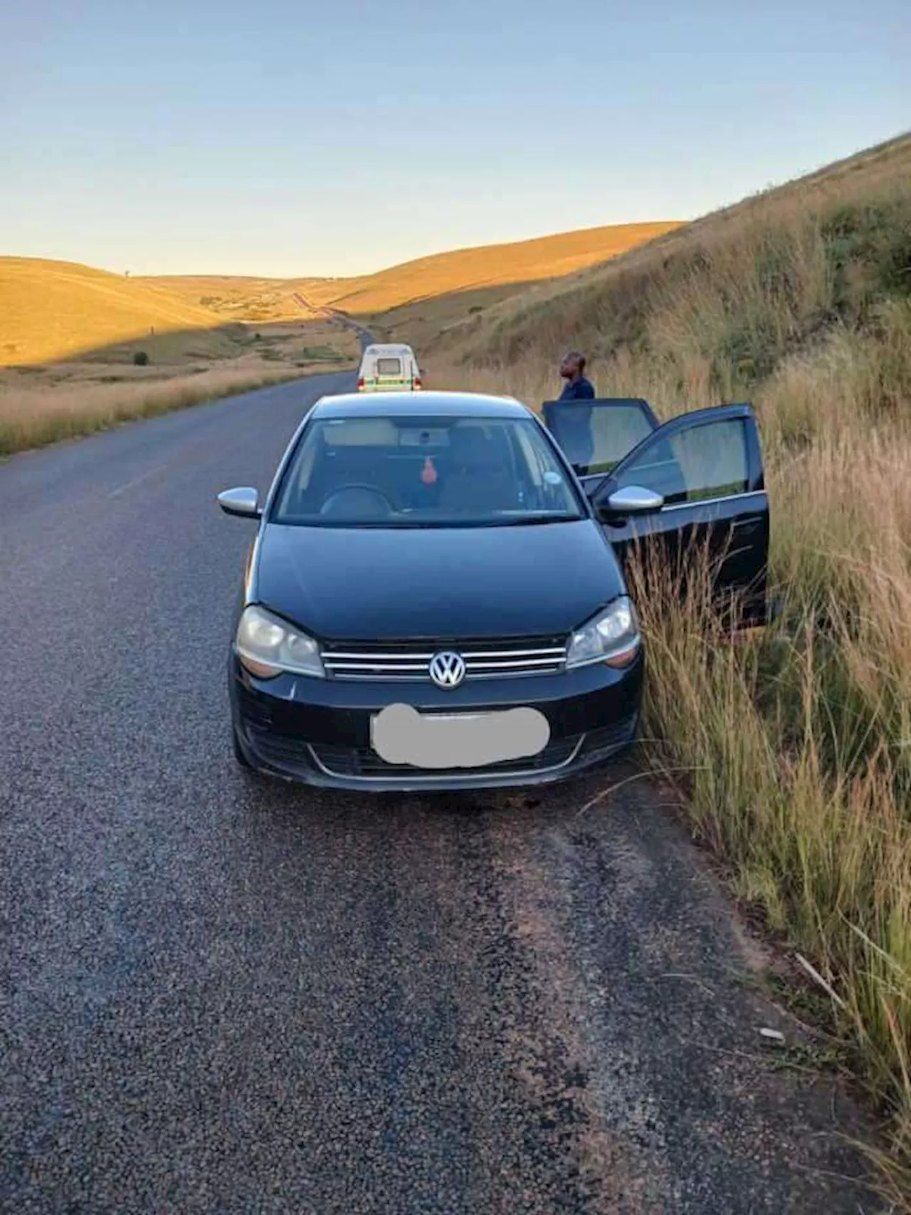 Police Constable Apprehends Carjacking Suspect in South Africa