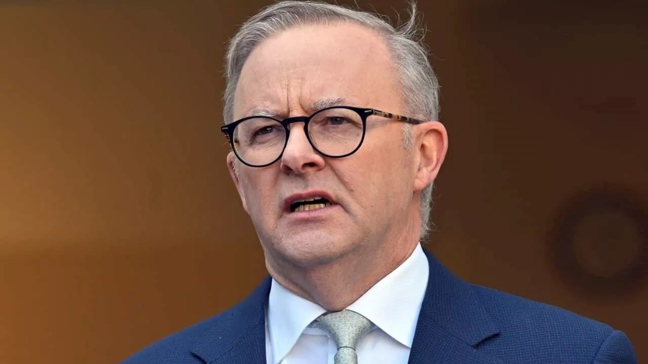 'Nasty negativity': Anthony Albanese hits back at Peter Dutton's criticism of Penny Wong