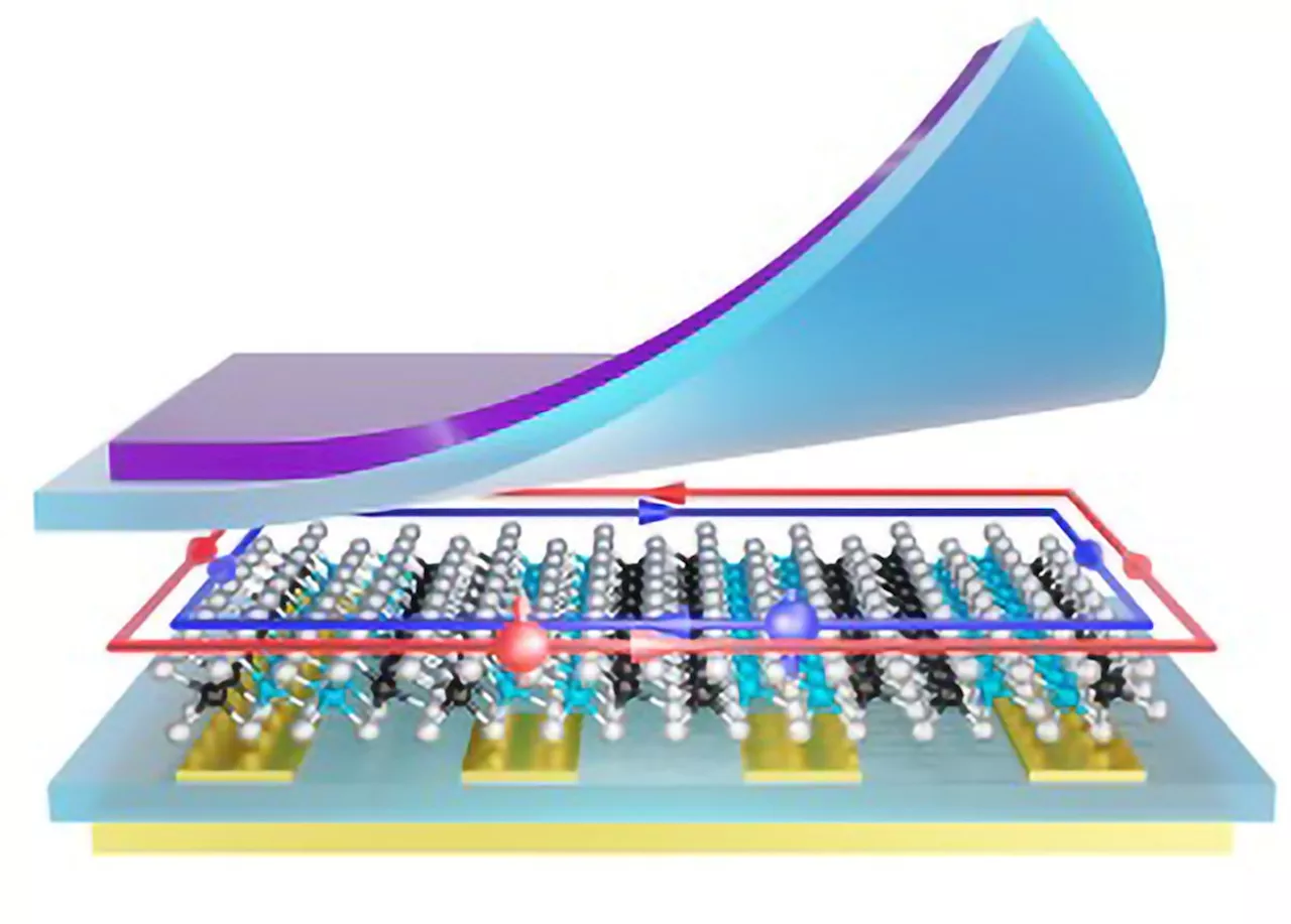 Beyond Theory: Dual Topological Insulating States Found in Monolayer Material