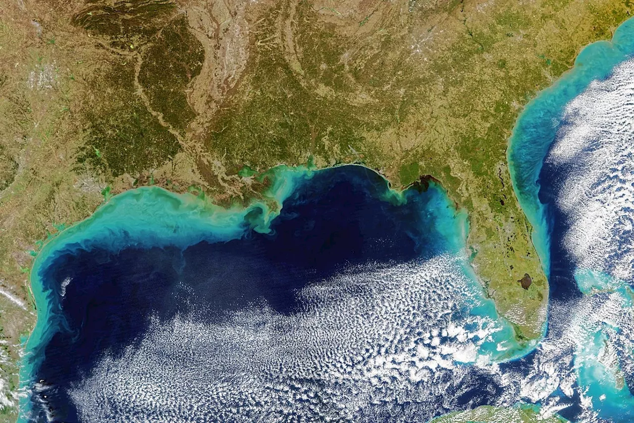 Salty Secrets: NASA Decodes El Niño’s Coastal Impact