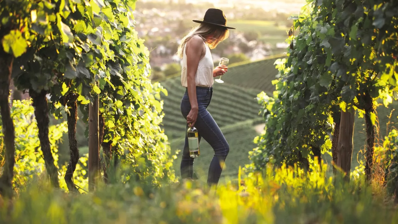 Victorian chardonnay tops list of Australia’s top 10 ‘must-try’ luxury wines