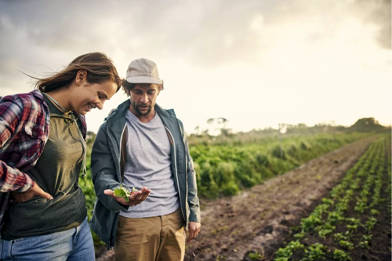 Expanding Organic Cropland Can Lead to Increased Pesticide Use, Study Finds