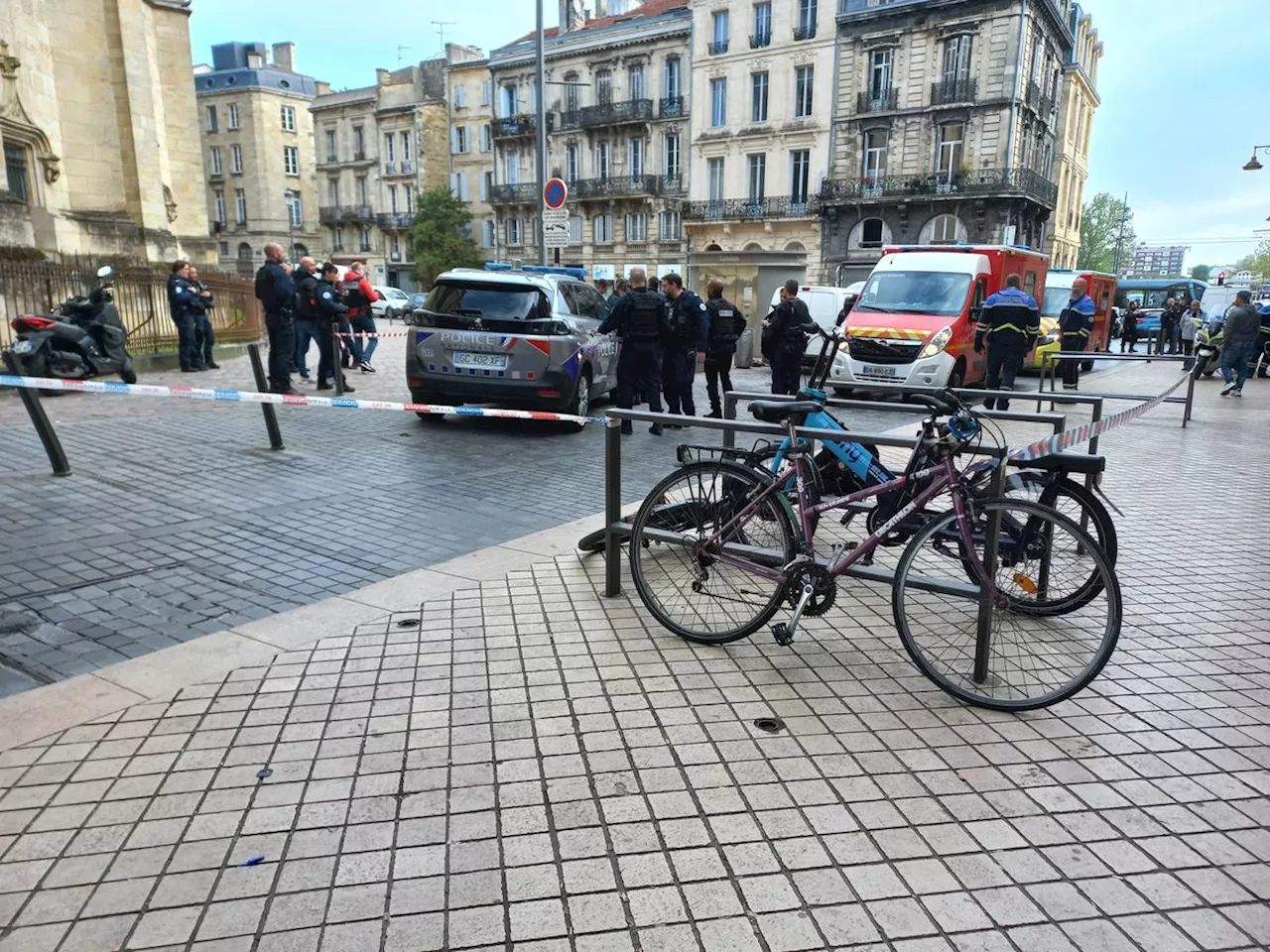 Bordeaux : incontrôlable, un chien abattu par la police dans le quartier Saint-Michel