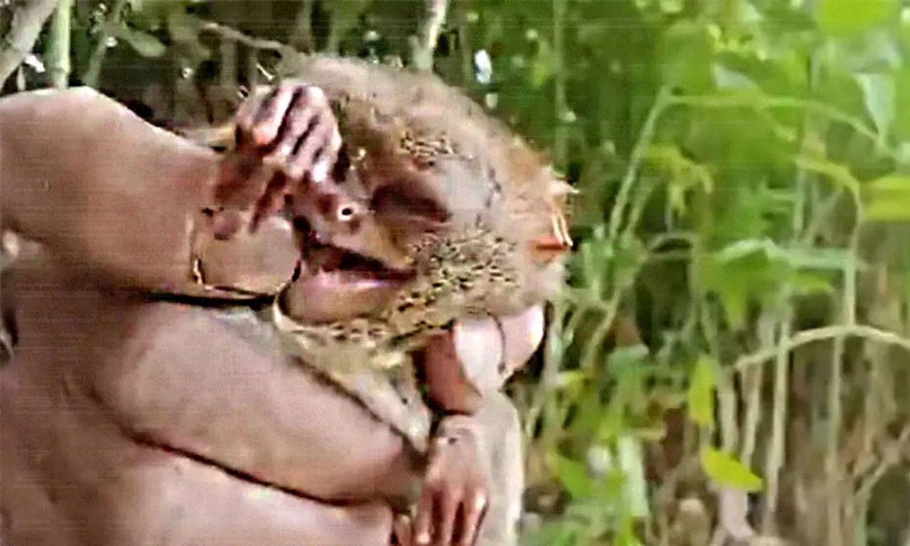 DENR probes vloggers over tarsier capture try in South Cotabato