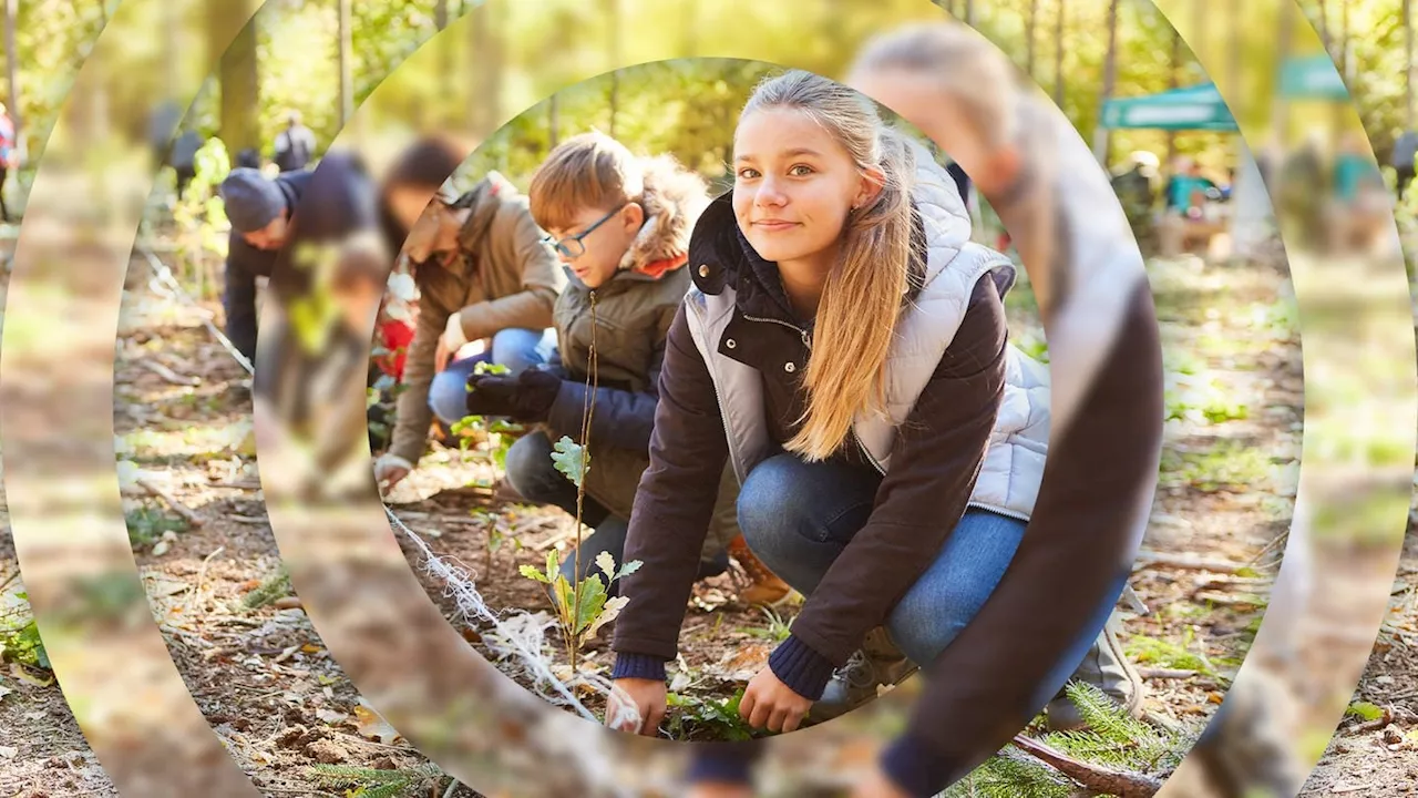 72-Stunden-Aktion: Das passiert während drei Tagen voller sozialem Engagement!