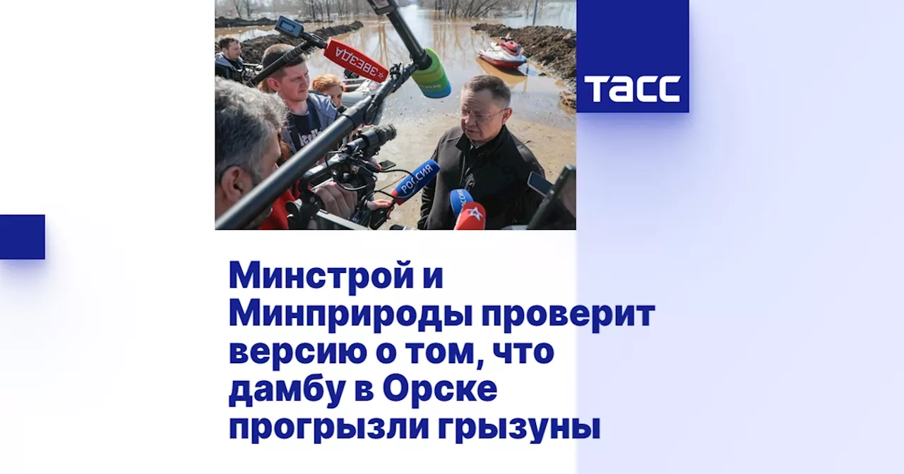 Минстрой и Минприроды проверит версию о том, что дамбу в Орске прогрызли грызуны