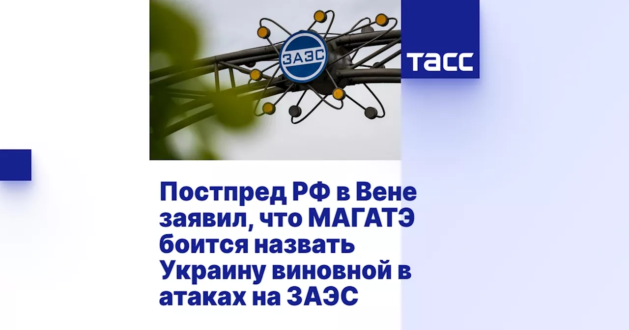 Постпред РФ в Вене заявил, что МАГАТЭ боится назвать Украину виновной в атаках на ЗАЭС