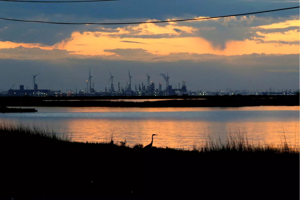 Water Scarcity and Clean Energy Collide in South Texas