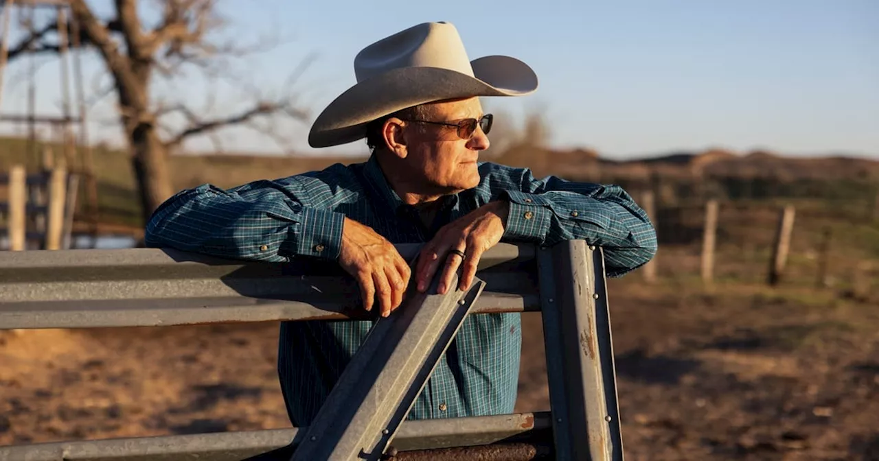 How Texas ranchers are recovering after Texas wildfires