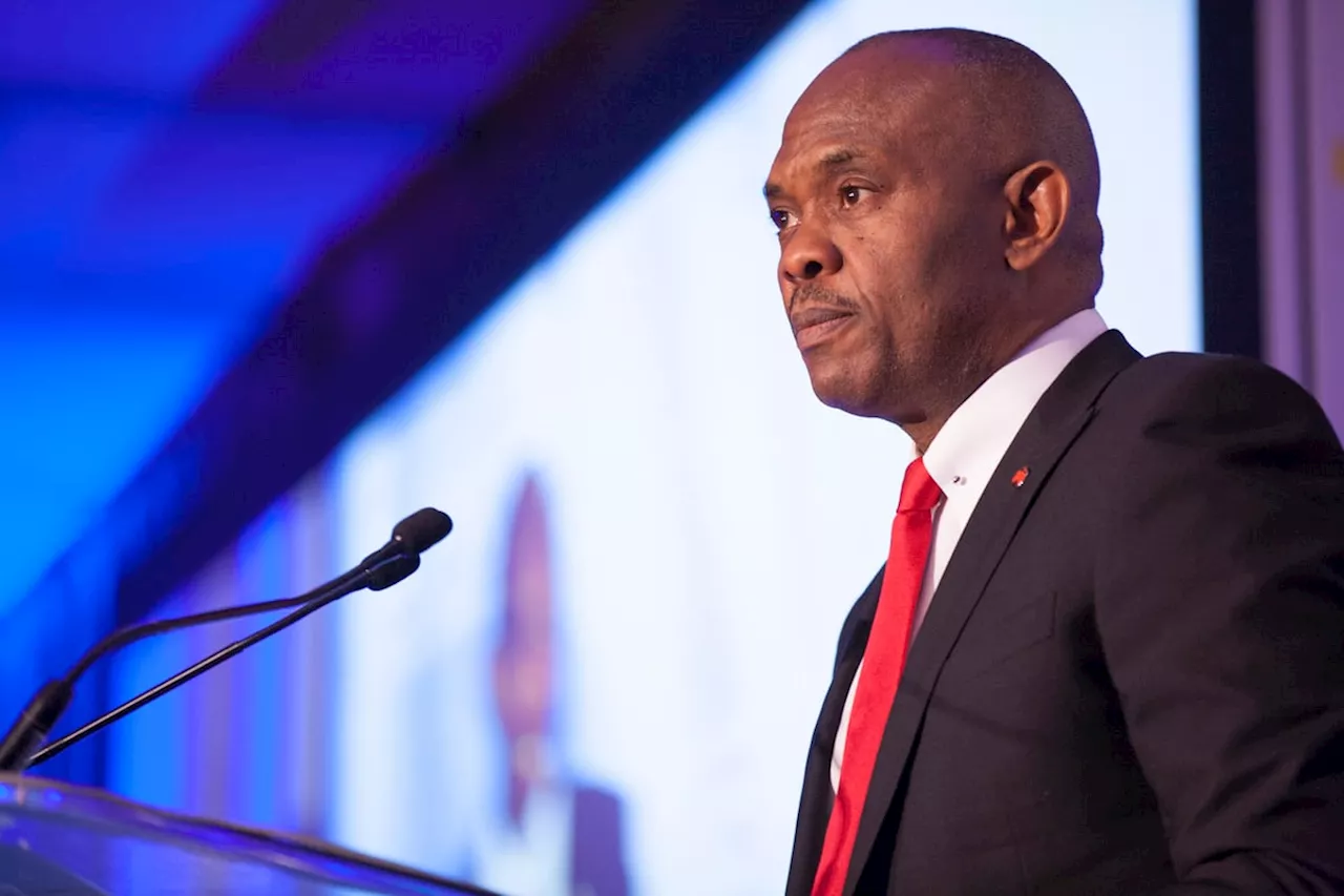 Tony Elumelu Urges Global Leaders to Rethink Sanctions